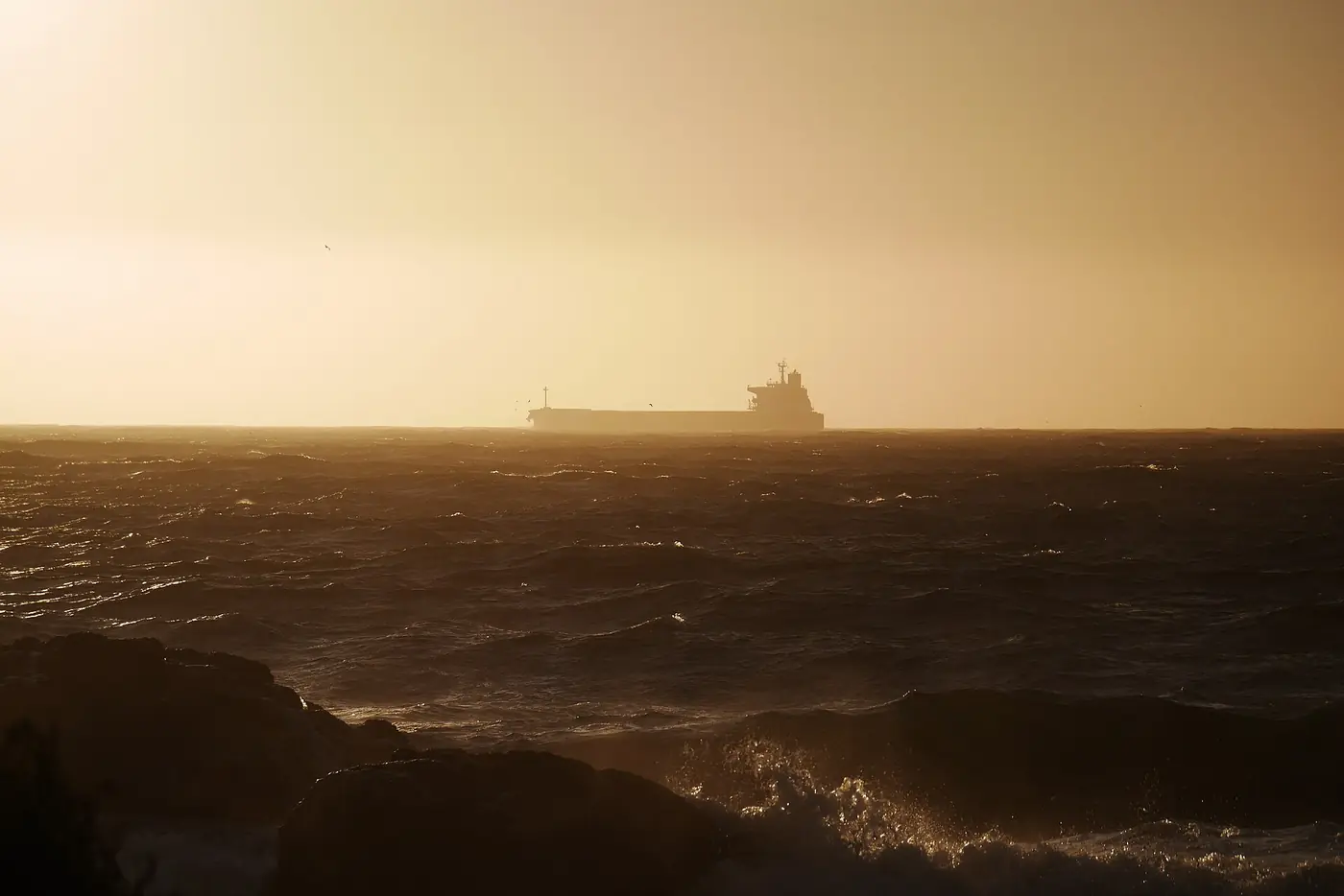 A cargo ship on the horizon at golden hour